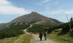 POLTURIZM